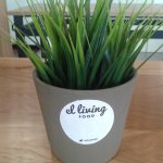 Maceta El linving Food Aravaca
