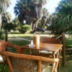 bonobo motril 3